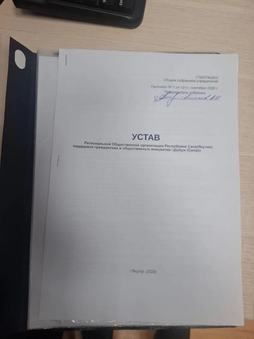 Рождение нового политического объединения "Добун" (Сила)